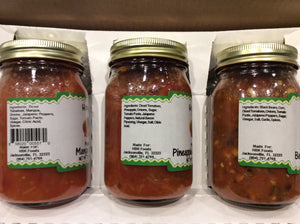 Salsa 3-Pack #2- Mango Salsa, Pineapple Bacon Salsa, Bean and Corn Salsa