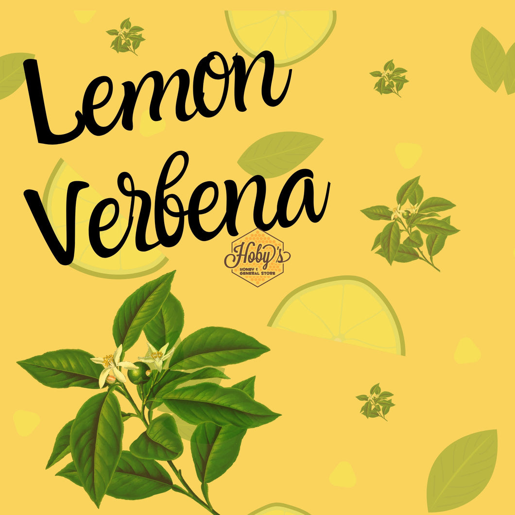 Lemon Verbena - Soy Wax Candle 12 ounce jars